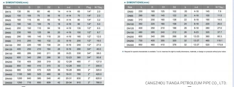 Cast Iron Y Type Strainer Double Flange Water / Stainless Steel Y Strainer DIN/JIS/ASME/ASTM/GB