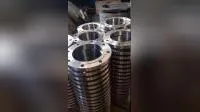 Saf2507 DN125 Duplex Stainless Steel Ring Weld Neck/Slip on/Plain/Blind/Threaded RF Flange